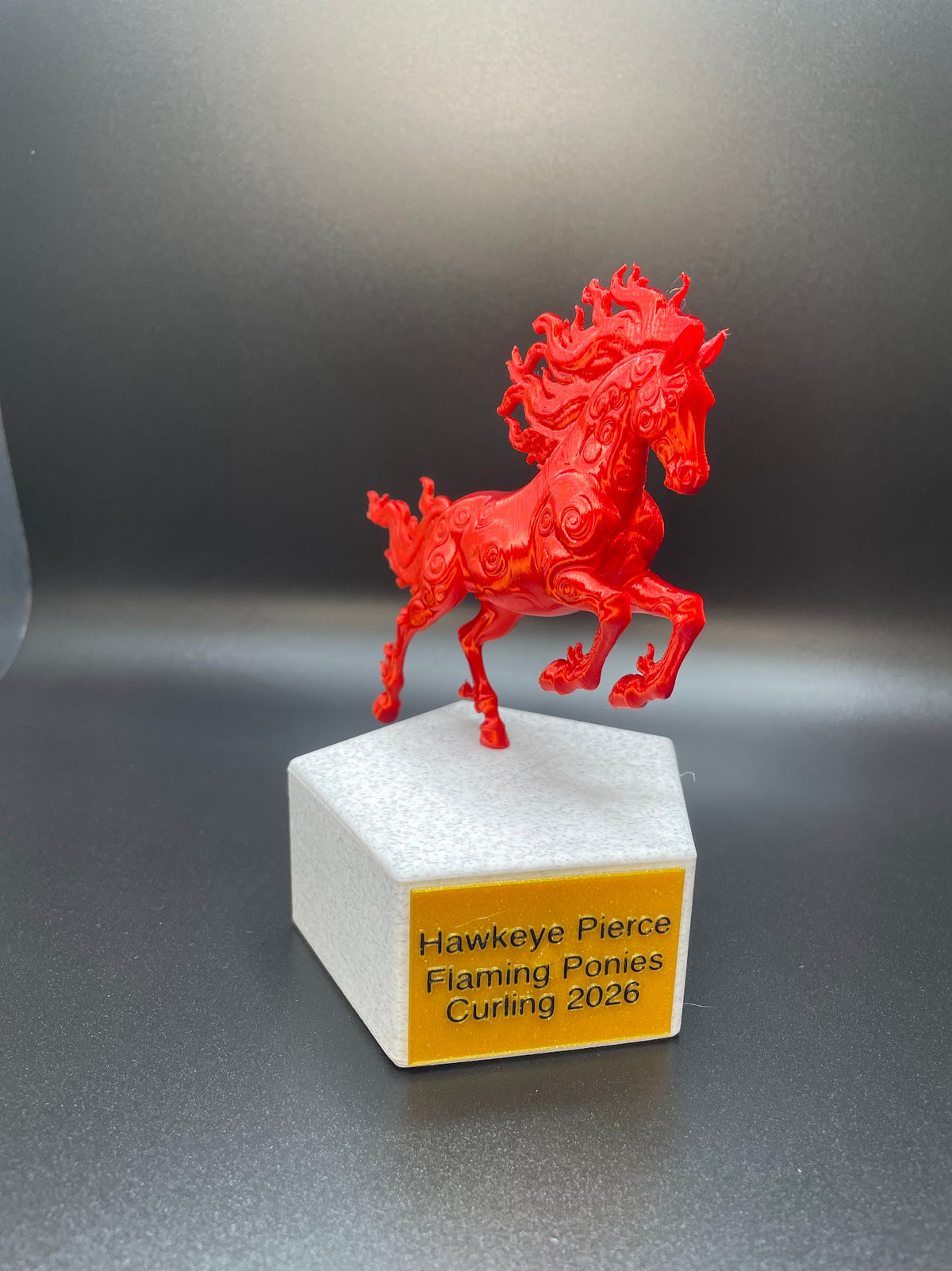 Custom Trophy