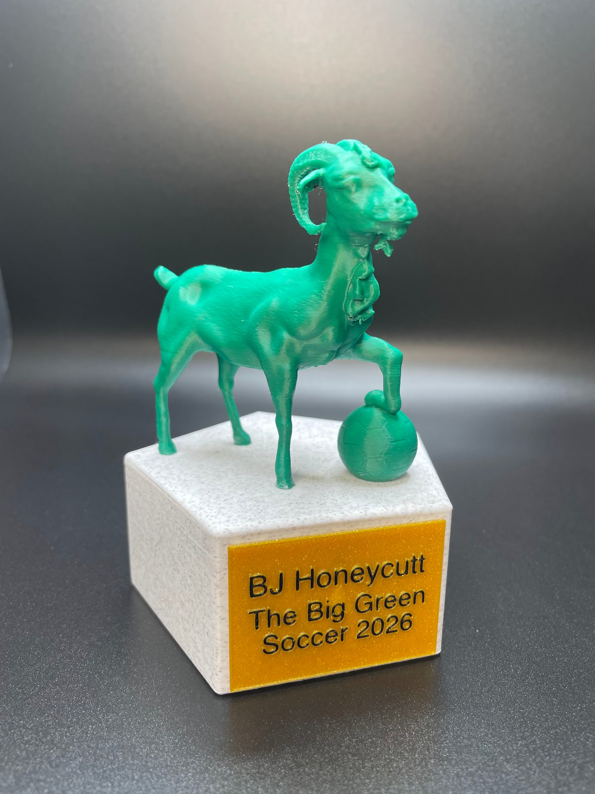 Custom Trophy