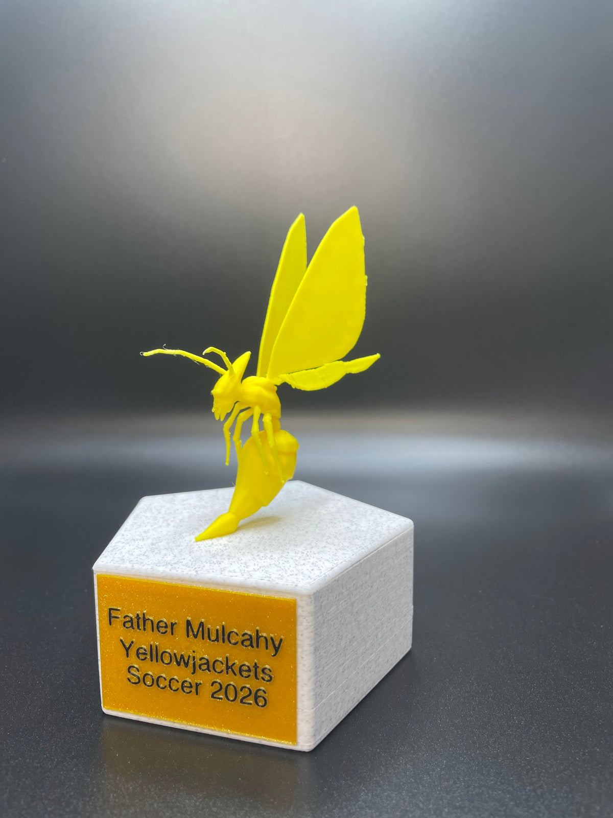 Custom Trophy