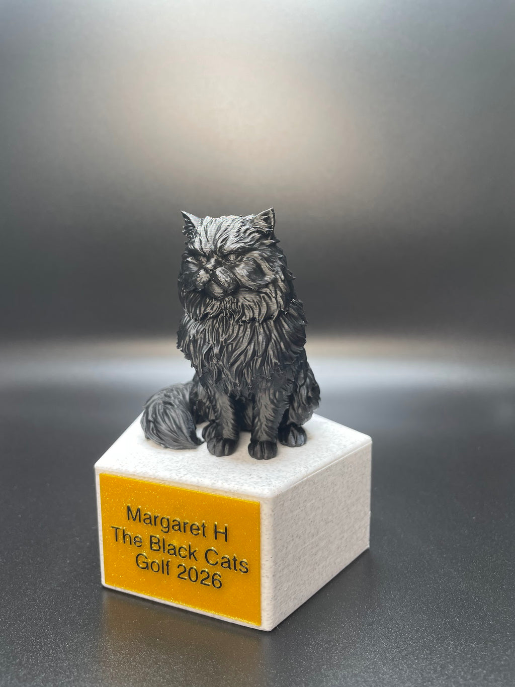 Custom Trophy