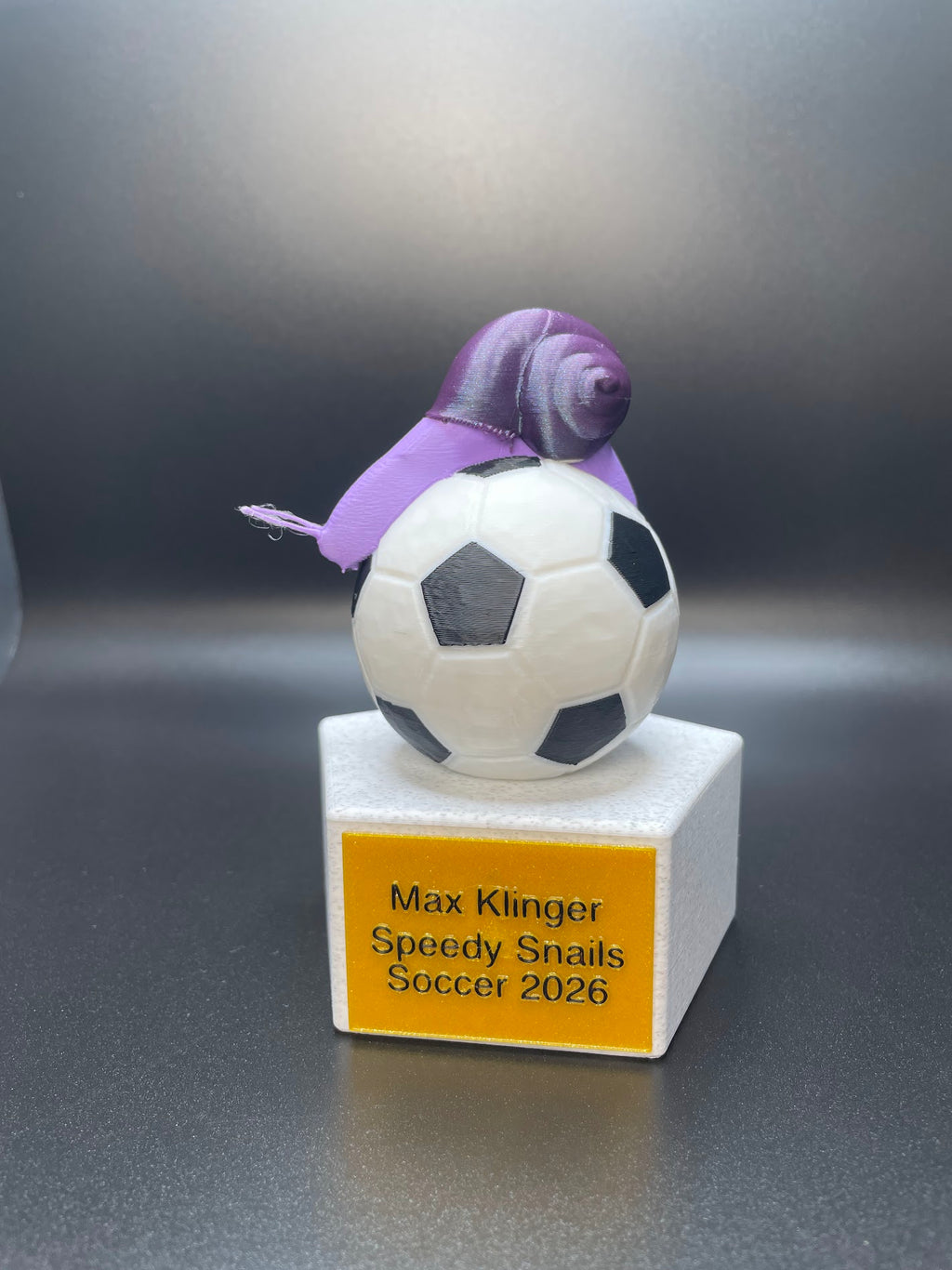 Custom Trophy