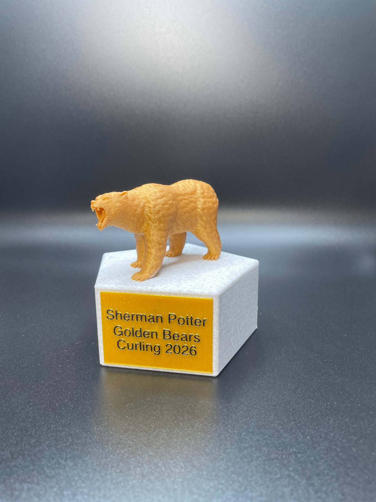 Custom Trophy