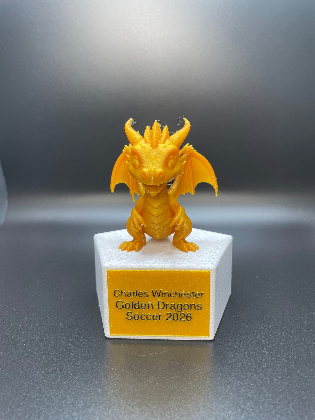 Custom Trophy
