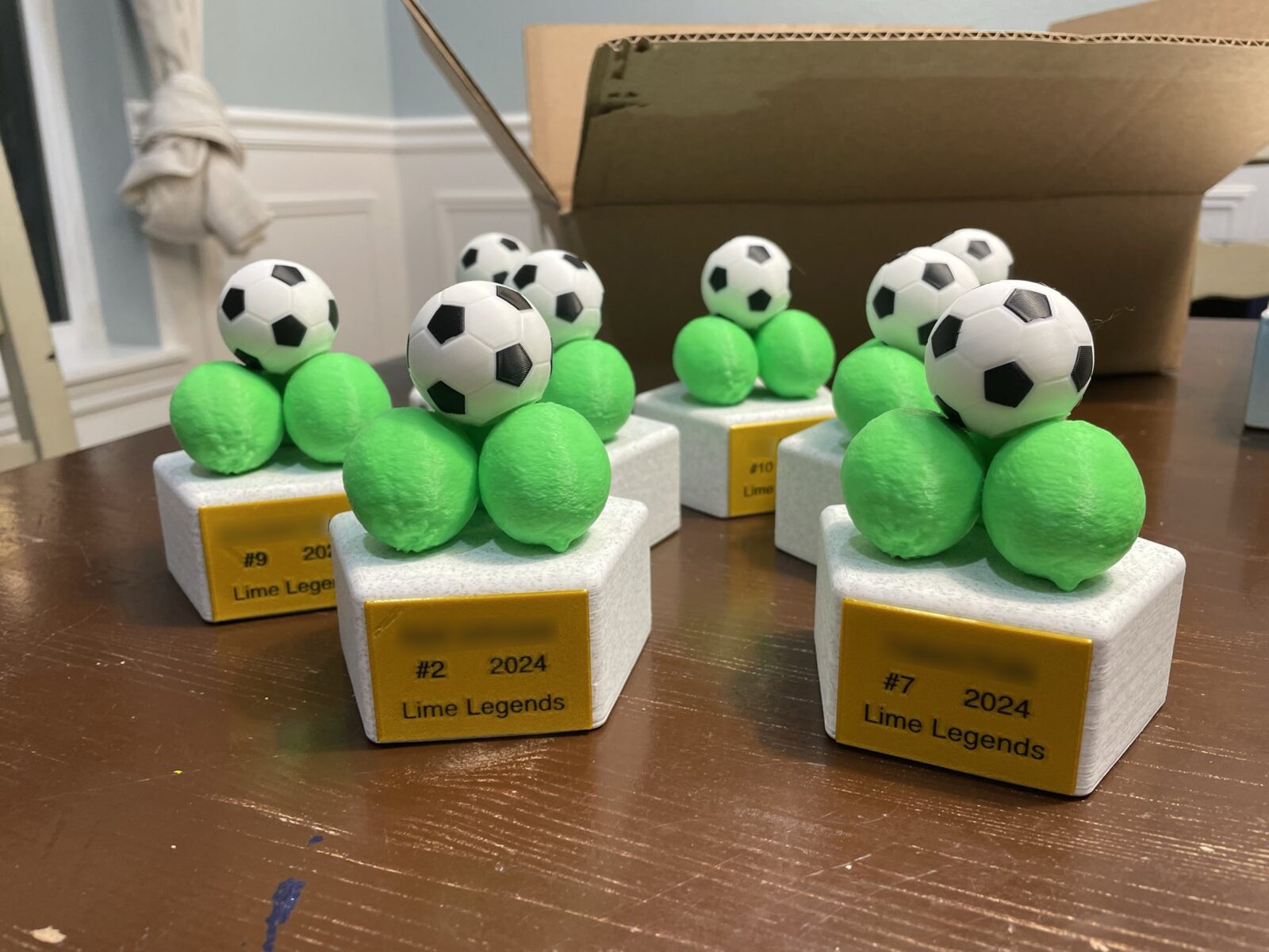Custom Trophy